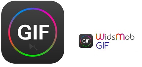 Free Download WidsMob GIF 1.1.0.86 With Crack